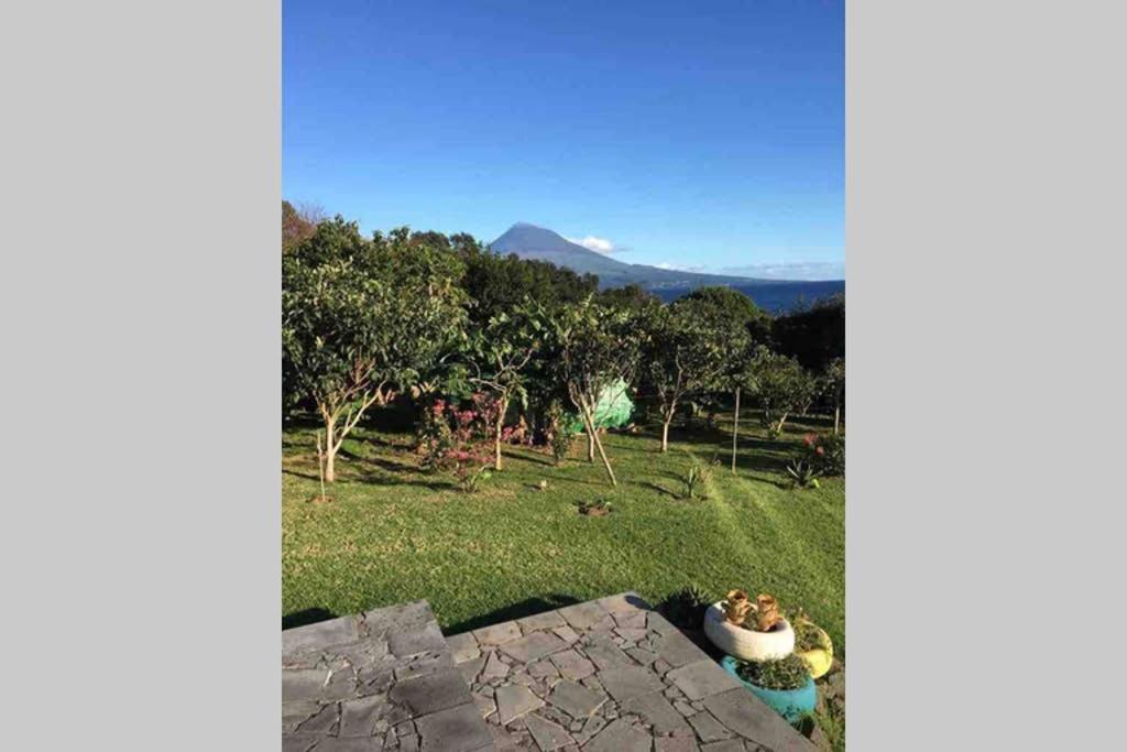 Summer House With Bbq And Garden Horta  Exterior photo